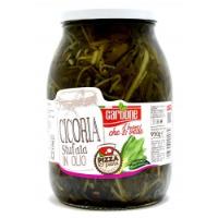 Chicory In Oil Carbone 1062mL
