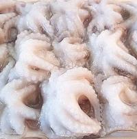 Baby Octopus 900gr