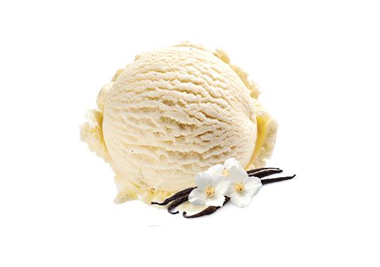 Vanilla Cream Gelato 1L - Quadrifoglio